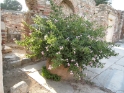 St John's Basilica, Selcuk Turkey 7